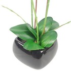 Foto 2 di 4