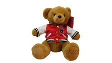 FAO Schwarz 2019 Brown Teddy Bear 13" Plush Letterman Jacket Stuffed Animal.
