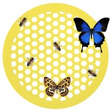 Upgraded User Friendly Easy to Install Outdoor Acrylic Bee Tray Suspended Island