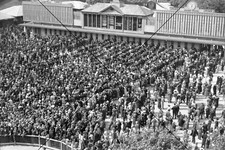 Crowds at Tote Board Melbourne Cup 1936 Photo Print 6" x 4"