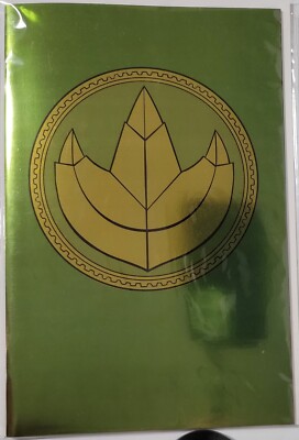 Mighty Morphin Power Rangers #119 - Green FOIL Logo - 2024 Boom Variant