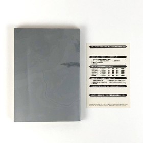 Used AZEL Panzer Dragoon RPG Guide Book Sega Saturn SS First Edition Japanese