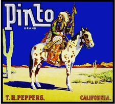 Los Angeles Pinto Indian on Horse Orange Citrus Fruit Crate Label Art Print
