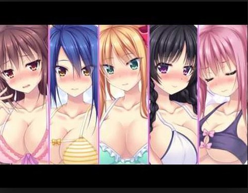 ILLUSION Harlem Game Japanese Windows PC Game Girls School Life Anime Japan Used - Picture 3 of 3