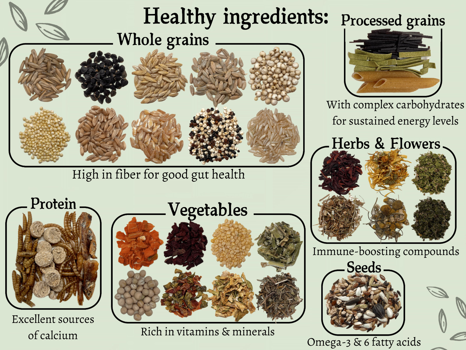 Rat Daily Diet - Shunamite, 40+ natural ingredients