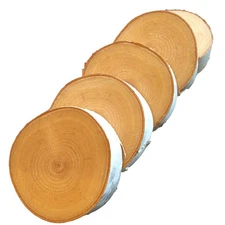 20 White Birch Disks 