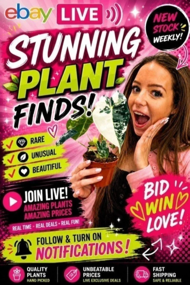 OH SO Floral Houseplants special!