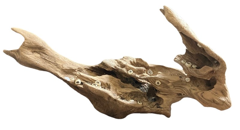 Large Driftwood For Aquarium Fish Tank Decorations 10-21 inches 