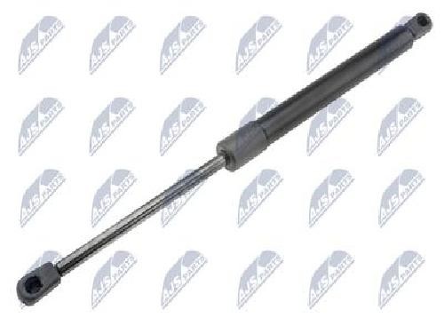 Original NTY Gasfeder Koffer-/Laderaum AE-RE-072 FüR Renault-image