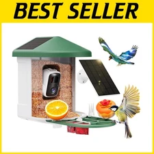 Live Feed Bird Feeder with AI Species Recognition