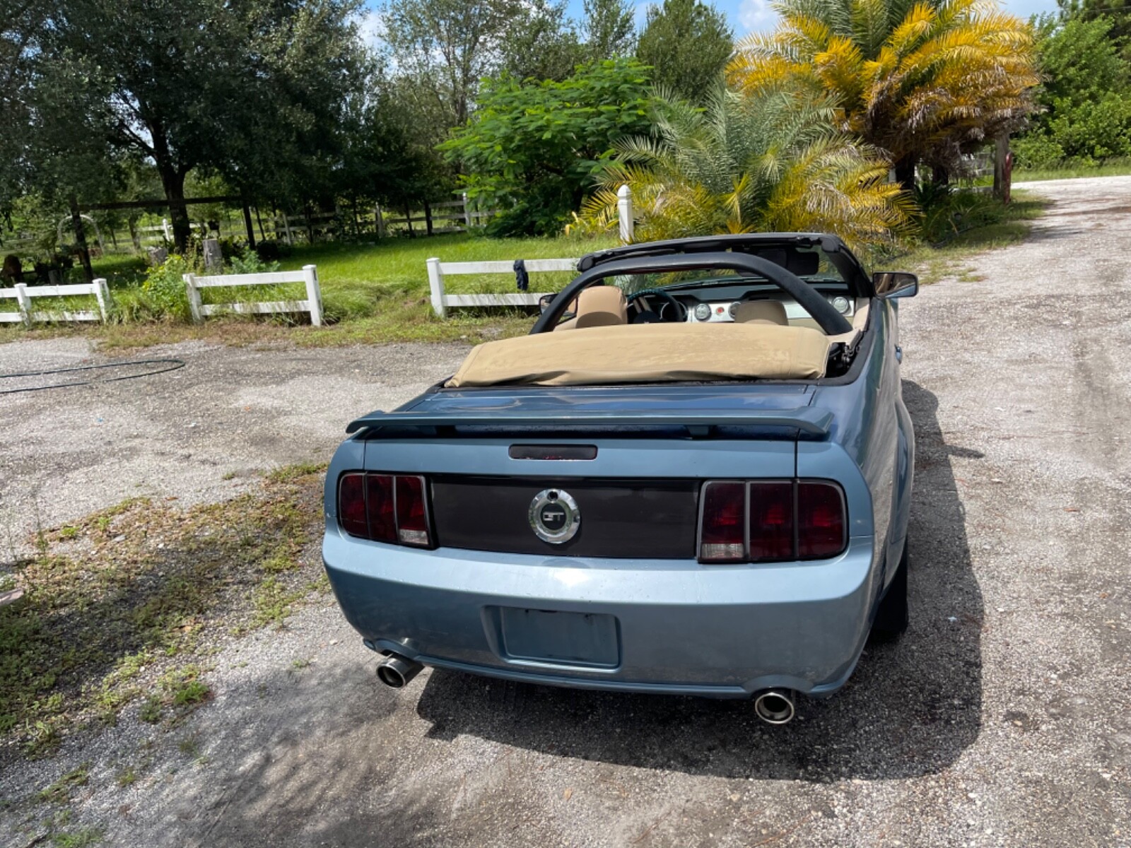 2005 Ford Mustang GT PROJECT CAR RUNS STRONG CAMMED eBay