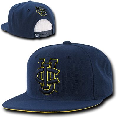 UC Irvine University of California UCI Anteaters Flat Bill Snapback Baseball Hat
