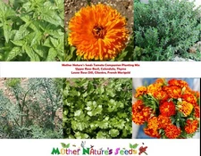 Tomato COMPANION PLANT MIX w/ Thyme, Basil, Marigold & more Non-GMO 500+ Seeds!
