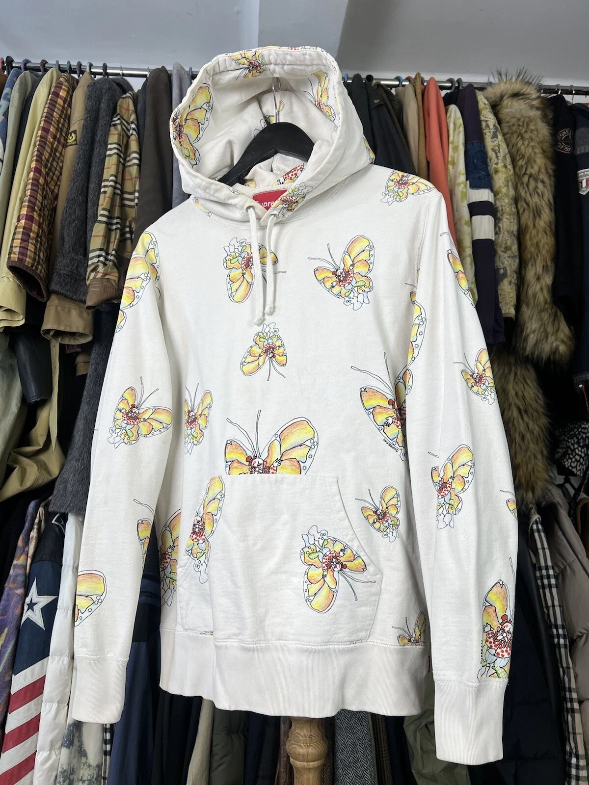 Papillon Supreme Gonz taille S   M