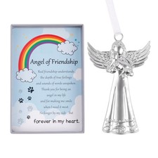 Angel of Friendship Ornament with Sentiment, Dog Memorial Gifts, Pet Loss Gif...