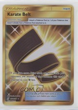 Secret - Karate Belt Pokemon Sun & Moon Unified Minds #252 on eBay