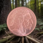 1 oz .999 Fine Copper Buffalo Indian Two Coins!