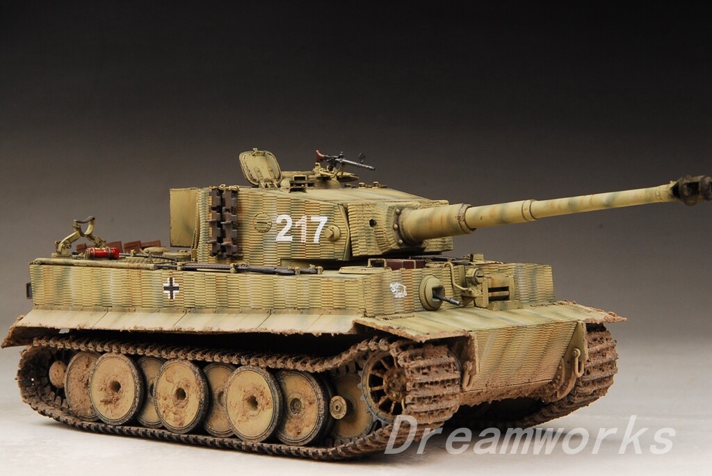 Award Winner Built Trumpeter 1/35 Otto Carius Tiger 217 Medium
