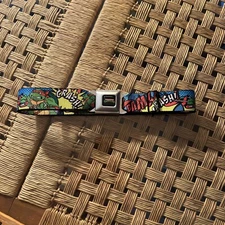 Buckle-Down® Teenage Mutant Ninja Turtles® Men's Kapow Seatbelt Mesh Belt