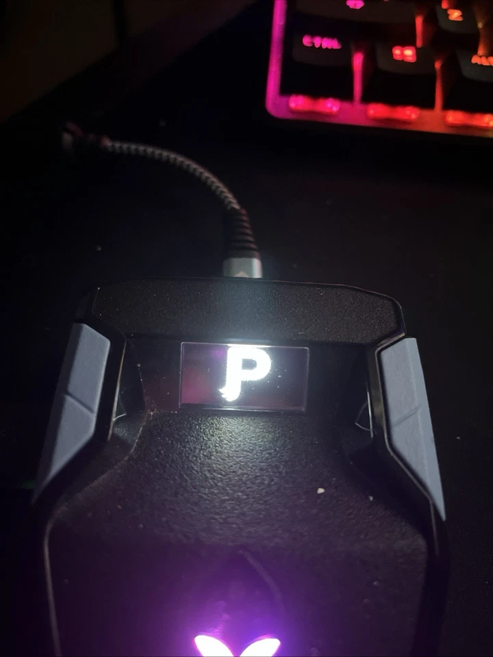 Zen Scripts Foto 3 de 4