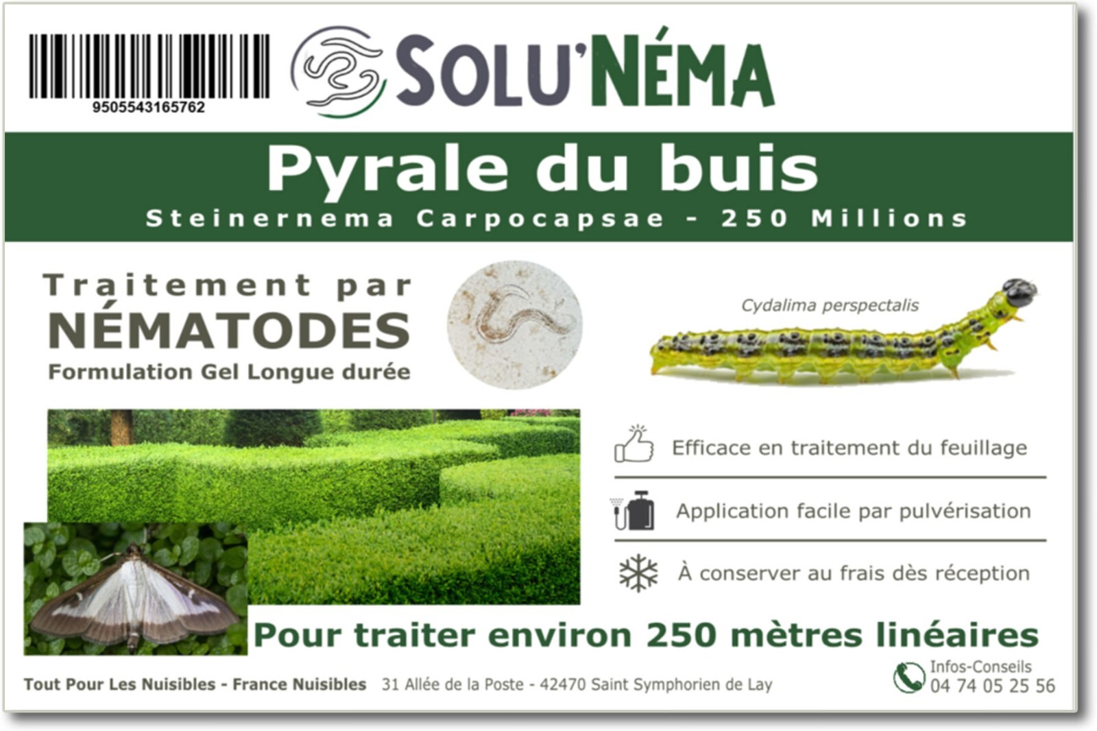 Nématodes contre la pyrale du buis SOLUNEMA 250 Millions traitement longue durée