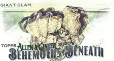 2020 Allen and Ginter Behemoths Beneath Mini #MGB-17 Giant Clam 