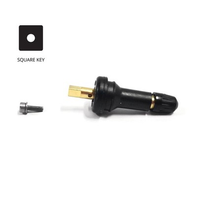 PTS 50 Pcs VS-65 / 17-50395 TPMS Rubber Snap In Valve Stem Square Key - Premium 