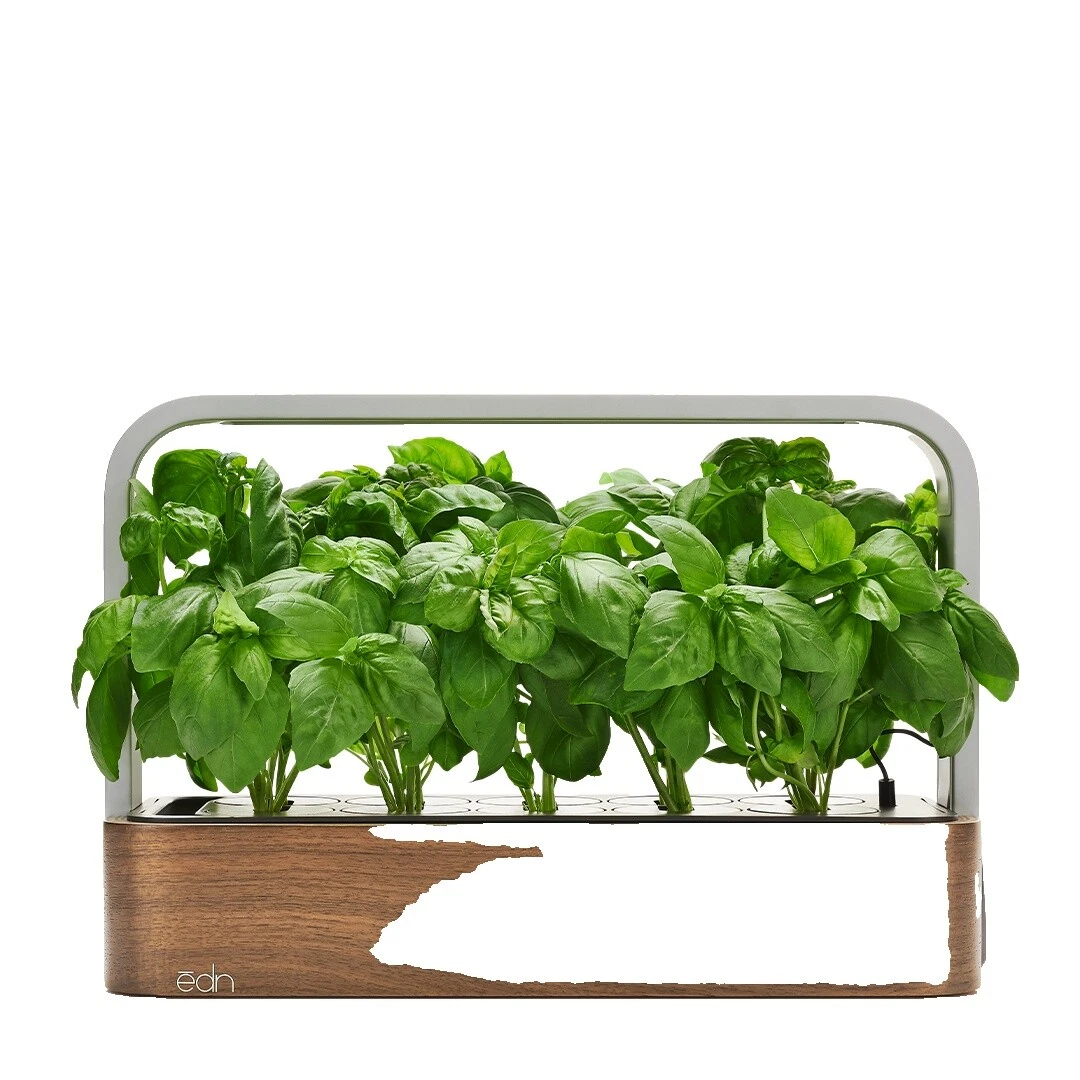 Plantas, semillas y Bulbos de Primavera