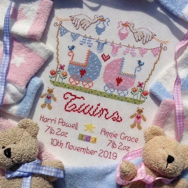 Twins Birth Sampler Counted Cross Stitch Kit - Nia
