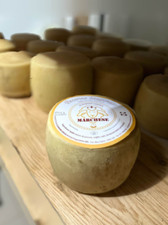 Prodotti tipici Sardo - Formaggio Di Osilo Pecorino Stagionato forma i…