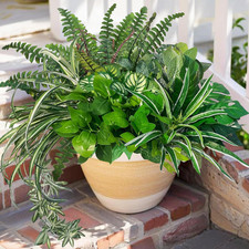 Artificial Plants Faux Greenery for Outdoor Porch Planter, UV Resistant Fake Rea