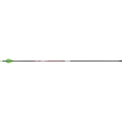 Victory VAP Sport Arrows 300 Raptor Vanes 6 pk.