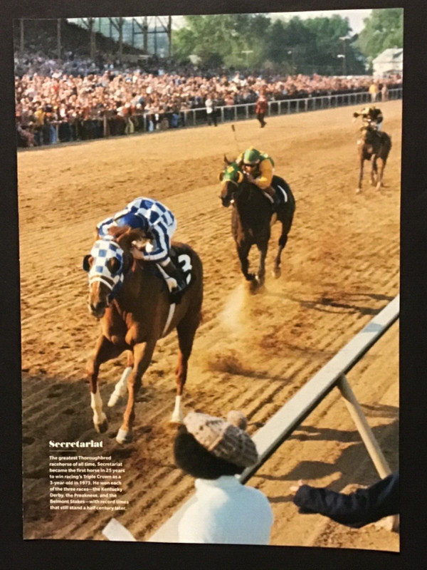 SECRETARIAT photo Horse Racing 1973 PREAKNESS STAKES