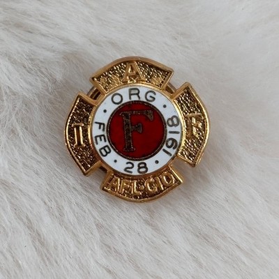 Vtg International Association of Fire Fighters IAFF AFL-CIO Union Member Pin