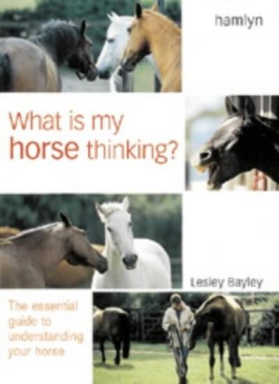 What is My Horse Thinking?,Lesley Bayley