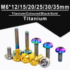 Tc4 Titanium Screw Motorbike Brake Disc Screws M6*12~35mm Motorbike Conversion