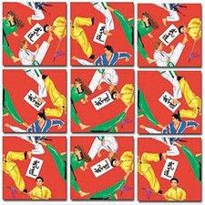 Martial Arts B. Dazzle Scramble Squares 9 Piece Puzzle
