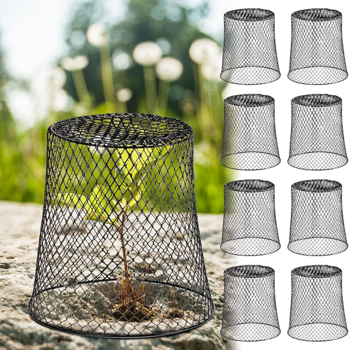 40 Pcs 8 Inch Chicken Wire Plant Covers,Wire Garden Cloches Chicken Wire Cloche - Picture 9 of 9
