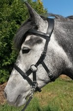 RH-EMPATHIA Sidepull Soft Gel Anatomisch Genick Gebisslos Leder Kopfstück