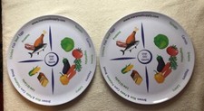 10" Portion Control Plate for Balanced Eating Healthy Nutrition Adult-2 Plates