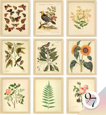 Vintage Botanical Wall Art Decor - Plant Posters for Room Aesthetic, Vintage Bot