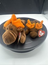 TY Beanie Baby Chocolate the Moose 1993