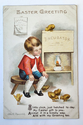 1910 EASTER Postcard BOY WATCHES INCUBATOR FOR HATCHING CHICKS ELLEN CLAPSADDLE