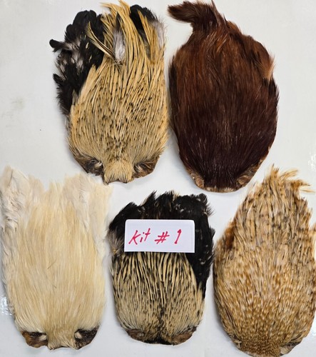 Lot of 5 Indian Cape " assorted colors " Kit#1 grade A Fly Tying Feathers