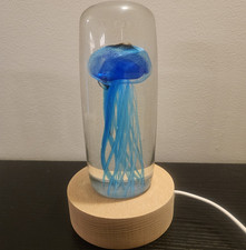 LED Color Changing Jellyfish Night Light, USB Powered Glass Dome Wood Base
