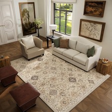 Machine Washable 5x7 Area Rug: Boho Vintage, Stain Resistant, Non-Slip, Low Pile