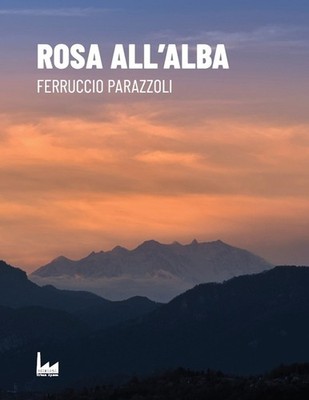 Rose im Morgengrauen - [Urban Apnea]