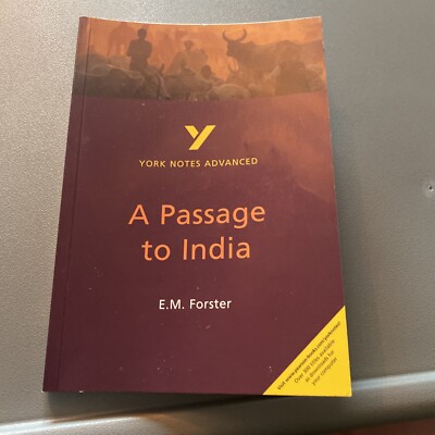 A Passage to India: York Notes Advanced: everything you need to catch up, study