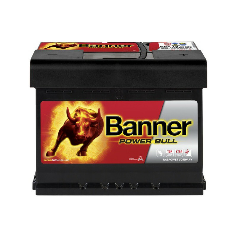 Batterie Banner Power Bull P6219 12V 62Ah d'origine constructeur européen