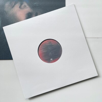 Ichiko Aoba / Mahoroboshiya 2016 Japanese Limited LP Speedstar